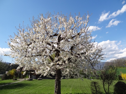 Refuge de Chamblon
