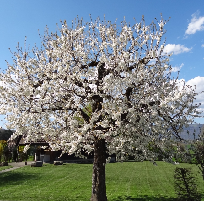 Refuge de Chamblon